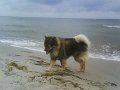 filou (23)
